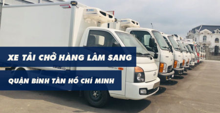 Xe tải chở hàng Quận Bình Tân Lâm Sang tại Hồ Chí Minh