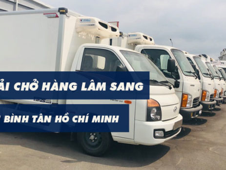 Xe tải chở hàng Quận Bình Tân Lâm Sang tại Hồ Chí Minh