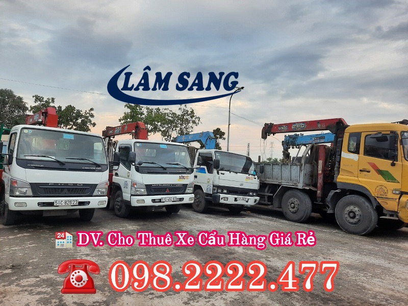 Cho thuê xe cẩu hàng tại Quận Tân Phú