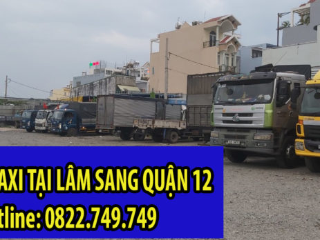 Vì sao bạn nên thuê taxi tải Lâm Sang tại Quận 6 ?