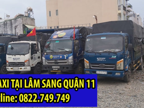 Vì sao bạn nên thuê taxi tải Lâm Sang tại Quận 6 ?